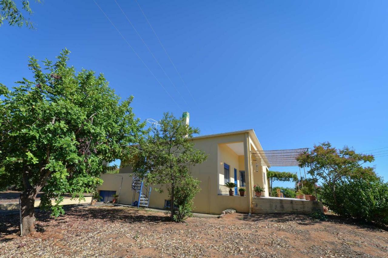 Santa Domenica Summer House Agia Kiriaki  Zewnętrze zdjęcie